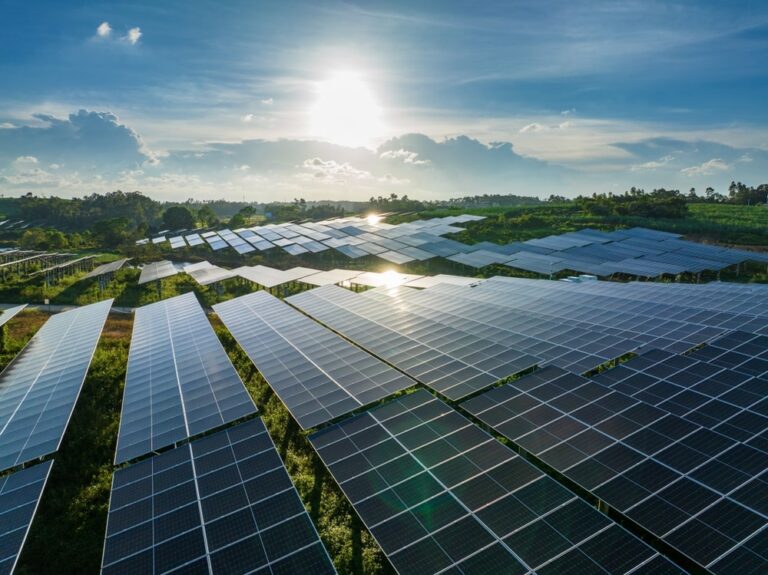 I pannelli Hi Mo Longi vengono usati per generare campi fotovoltaici